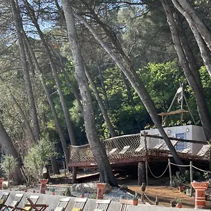 Le Castel De Fies Solliès-Pont